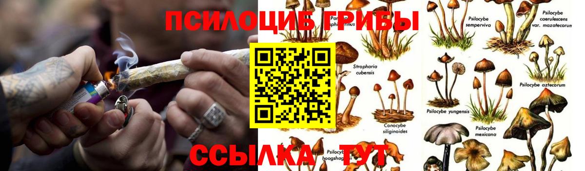 Псилоцибиновые грибы ЛСД  Вход с VPN  где найти   Майский  Псилоцибиновые грибы мицелий 